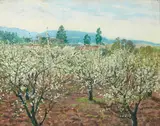 Theodore Wores, Prune blossom time in Saratoga, 1937, oil on canvas