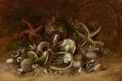 Henry Raschen, Still Life with Seashells, 1884, oil on canvas