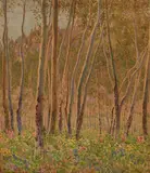 Gunnar Widforss, Aspens and wildflowers
