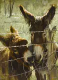 Clark Hulings, Nuzzling Donkeys, 1973, oil on masonite