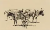 Running Horses; Standing Cattle; Roping Steer; Running Steer (a group of four) by Edward Borein, Horses ink on paper, the others ink and graphite on paper, sold Aug 2018