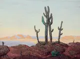 Conrad Buff, Desert Cactus, oil on board