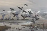 Harry Curieux Adamson, Winter Quarters, Red Breasted Geese, 1965, oil on canvas
