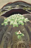 Charles E. Burchfield, Trilliums and Rock Ledge, 1919, gouache and watercolor on paper laid down on board