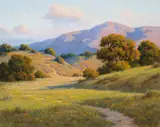 David Chapple, Valley Light