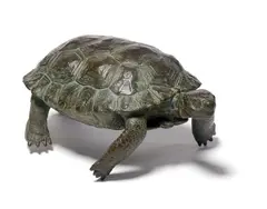Mark Rossi, Desert Tortoise, bronze with green patina