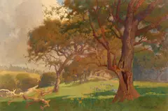 A field of poppies and lupine beneath the trees by Percy Gray, 1910, watercolor and graphite on paper, offered Aug 2017