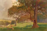 Percy Gray, A field of poppies and lupine beneath the trees