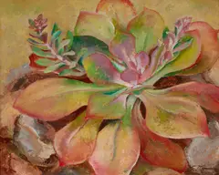 Louise Everett Nimmo, Desert Flower, oil on masonite