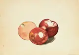 Charles Demuth, Three Red Apples: A Double-Sided Work