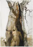 Andrew Wyeth, Hide and Seek (Study for Dryad), 2000, watercolor and pencil on paper