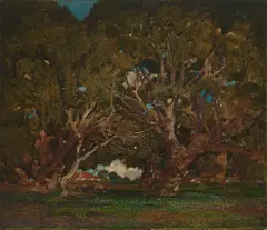 Francis J. McComas, The Two Pines of Monterey, 1912, watercolor and graphite on paper