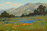 John Marshall Gamble, Poppies and Lupine, Santa Paula, oil on canvas