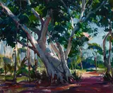 Emile Gruppé, Banyan tree