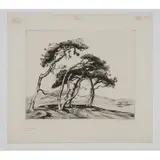 Alfred Heber Hutty, Â  Northern Pines