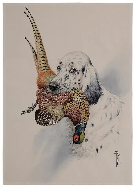 Boris Riab, English Setter with a Pheasant, watercolor on paper