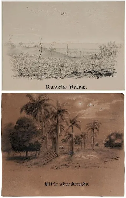 Charles De Wolf Brownell, Two Views of Cuba: [Rancho Veloz], circa 1850, charcoal and chalk on paper