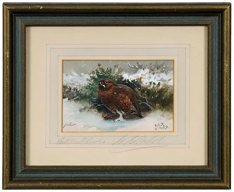 Charles Stanley Todd, Grouse in the Snow, watercolor and body color on paper