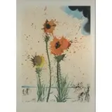 No. 204 from an edition of 300 by Salvador Dalí, Offset-Lithograph, sold Apr 2022