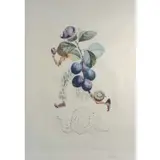Prunier Hatif by Salvador Dalí, 1969, Etching, sold Apr 2022