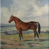 Eulalio Garcia Mata, Horse, Oil on canvas