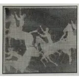 Naomi Savage, The Meadowlands, 1978, Etching