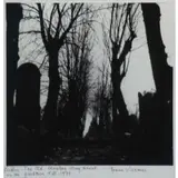 Lublin, The Old Cemetery Stary Kiricyt on the Grodzisk Hill, 1935 by Roman Vishniac, Photograph, sold Apr 2022
