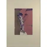 Fritz Scholder, Untitled, Lithograph