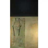 Jeff Adams, Impulse, 1989, Diptych of oil on canvas affixed to wood