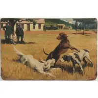William Reusswig, The Dog of Altomare Part 1, Casein on board