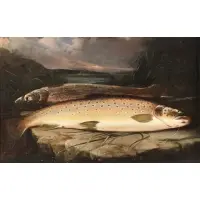 Henry Rolfe, Fish, Oil on canvas