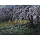Herman Margulies, Spring Impressions #12, 1986, Pastel
