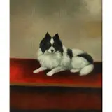 N Jacob, Papillion, Oil on canvas