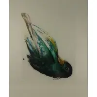 Emilie Clark, Bird, 2014, Aquatint with spitbite and drypoint