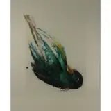 Emilie Clark, Bird, 2014, Aquatint with spitbite and drypoint
