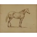 Johann Georg Pforr, Horse, Pen and ink
