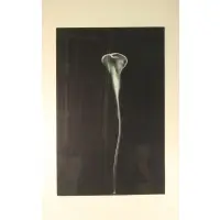 Michael Mazur, Calla I, 1982, Lithograph