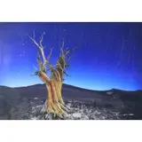 Peter Lik, Starry Night