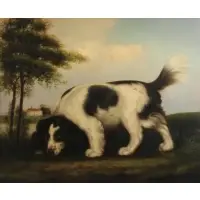 Taylor, Painting of a Spaniel, Oil on canvas