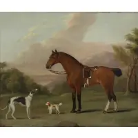 George Stubbs, Polly: A Favourite Mare/The Property of N. Smythe, Esq, Oil on canvas