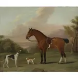 George Stubbs, Polly: A Favourite Mare/The Property of N. Smythe, Esq, Oil on canvas