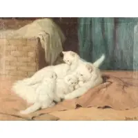 Arthur Heyer, Angora Kittens, Oil on Canvas