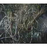 Andrea Kasamas, Abstracted Landscape, Oil on canvas