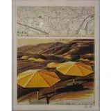 Christo, The Umbrellas