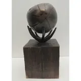 Robert Flynn, Mole blinded by the sun