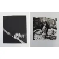 Untitled I (God) by Renée Cox, Pair of Photographs, sold Oct 2020