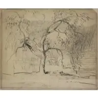 Daniel Garber, Tree Study, Pencil
