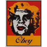 Shepard Fairey, Marilyn Warhol