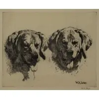 William Robinson Leigh, Bear Dogs, Etching