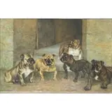 George Vernon Stokes, Bulldogs, Watercolor